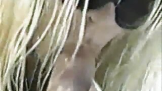 Seksi porno zvijezde Nesty, Melane, Little Caprice, Nataly Von, Vanda Lust, Clair Brooks u kompilacijskom seks videu